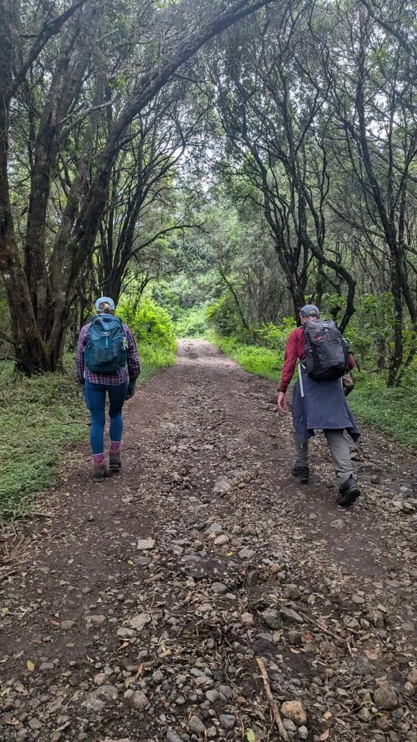 Mount Kilimanjaro trekking landscape